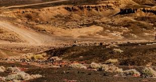 LOL：JDG战队破而后立，不敌WE后引进冠军教练，一切为了Scout